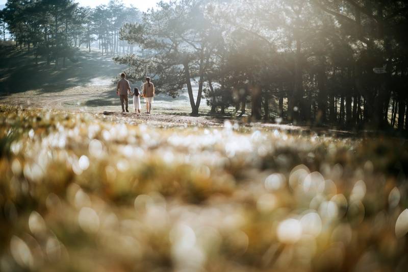 Avocat droit de la famille divorce et adoption Frejus